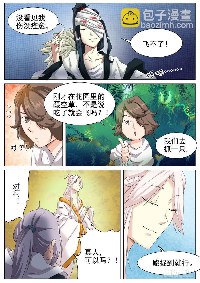 《文武仙云之仕林传》蹑空草 第5页