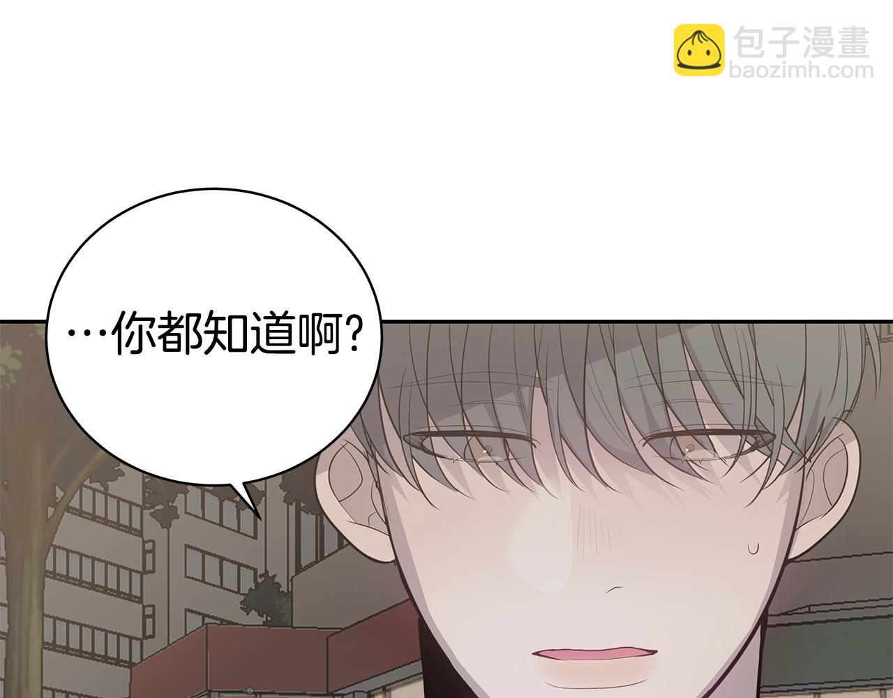 《营业CP怎当真》完结篇 婚礼 第16页