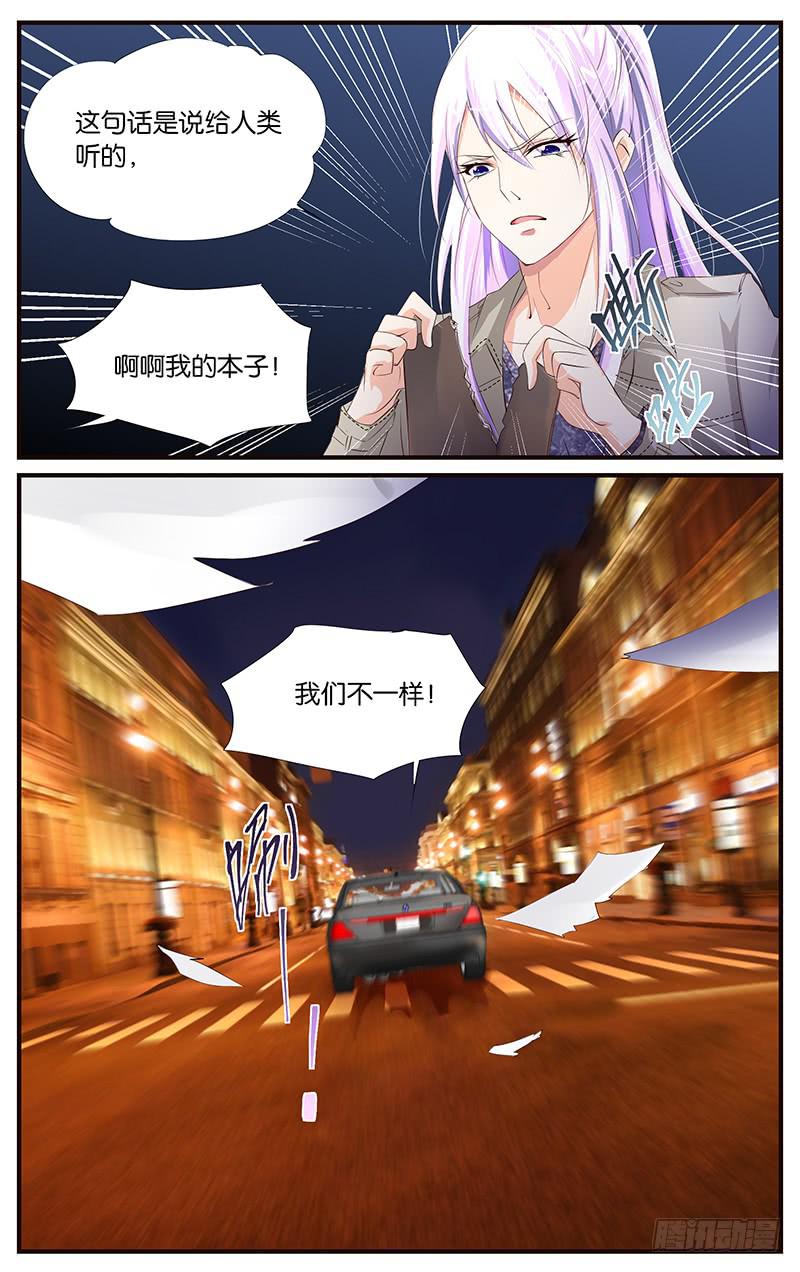 《幻术小狐》21.撒谎的人 第6页