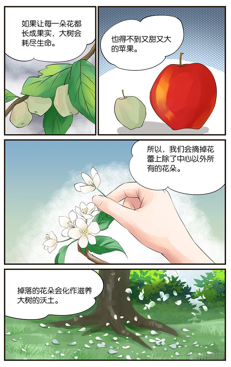 《幻术小狐》27.花语梦想 第7页