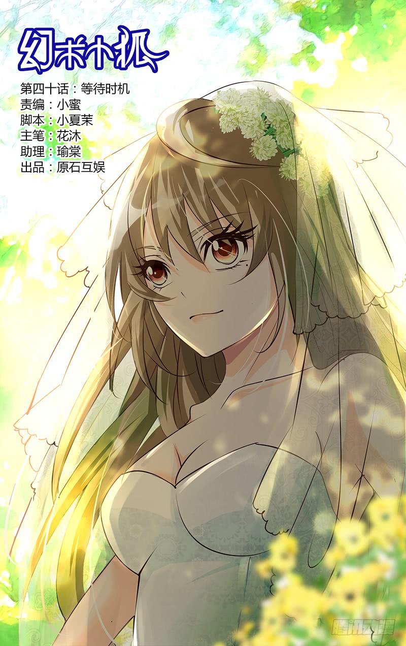 《幻术小狐》40.等待时机 第1页
