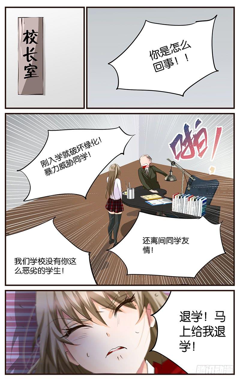《幻术小狐》57.又搞砸了 第5页