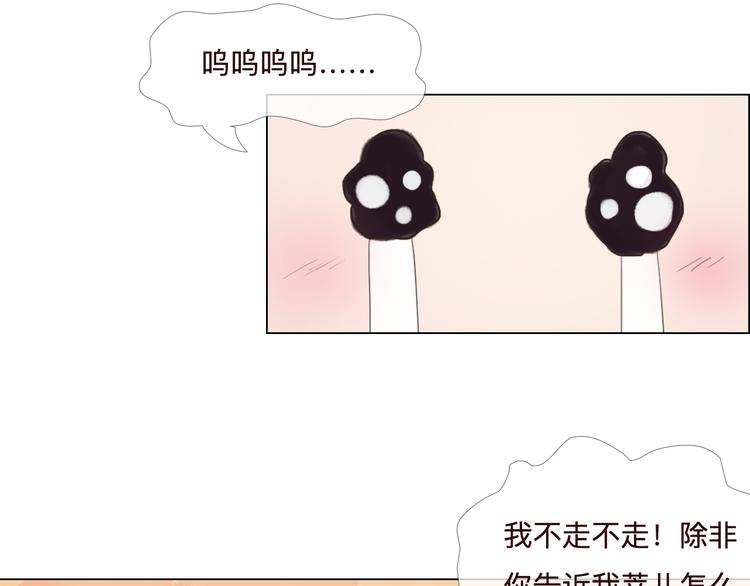 《神啊，让我穿越到古代吧！》第21话 肥妞变美女？ 第19页