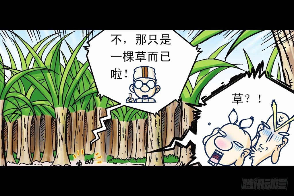 《乌龙院系列 Q版活宝》第16集 初探神木村 第13页