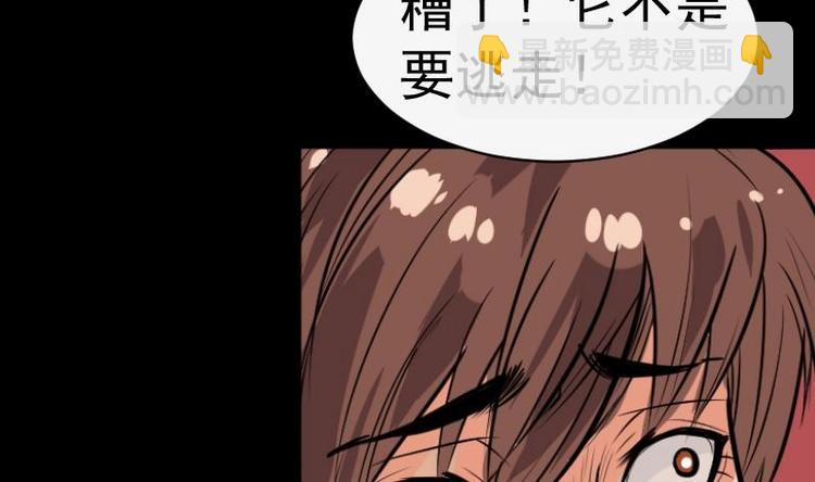 《麻衣神算子》第8话 鬼书案（三） 第5页