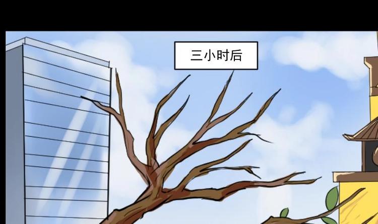 《麻衣神算子》第13话 王道长（三） 第33页