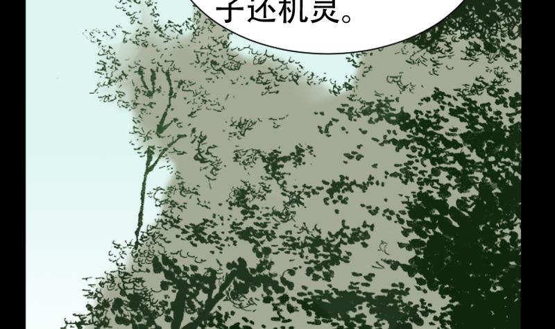 《麻衣神算子》第40话 林中探秘 第40页