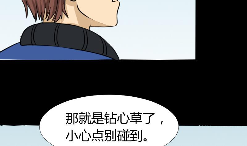 《麻衣神算子》第45话 无底洞钻心草 第26页