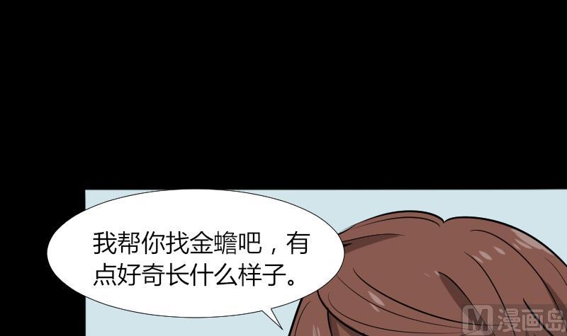《麻衣神算子》第46话 找金蟾 第3页