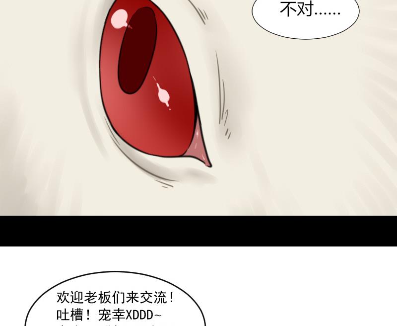 《麻衣神算子》第56话 阵法 第41页