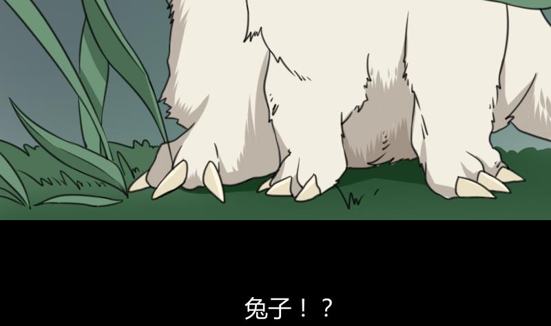 《麻衣神算子》第56话 阵法 第5页