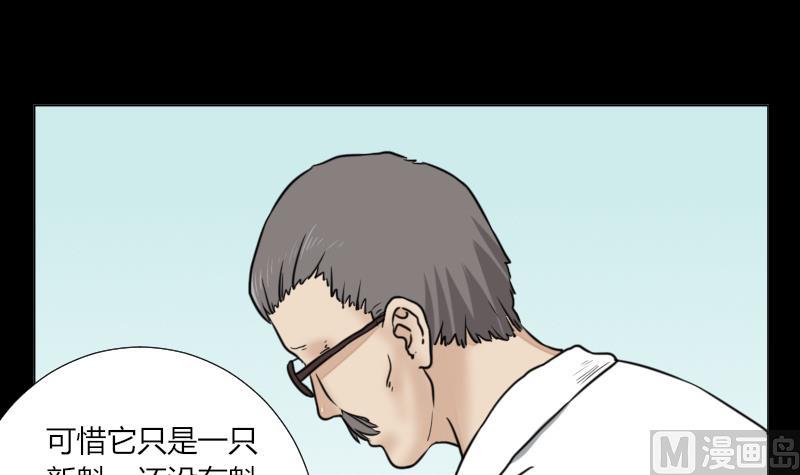 《麻衣神算子》第62话 吃灵芝长魁元 第12页