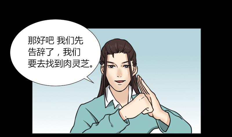 《麻衣神算子》第62话 吃灵芝长魁元 第19页