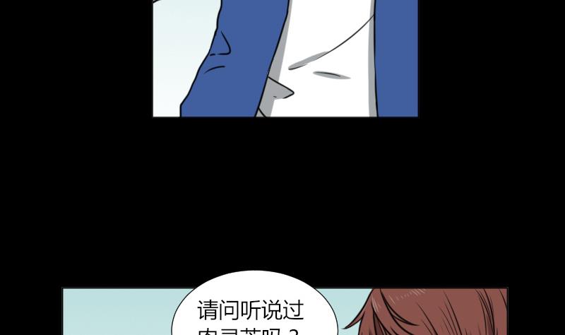 《麻衣神算子》第62话 吃灵芝长魁元 第31页