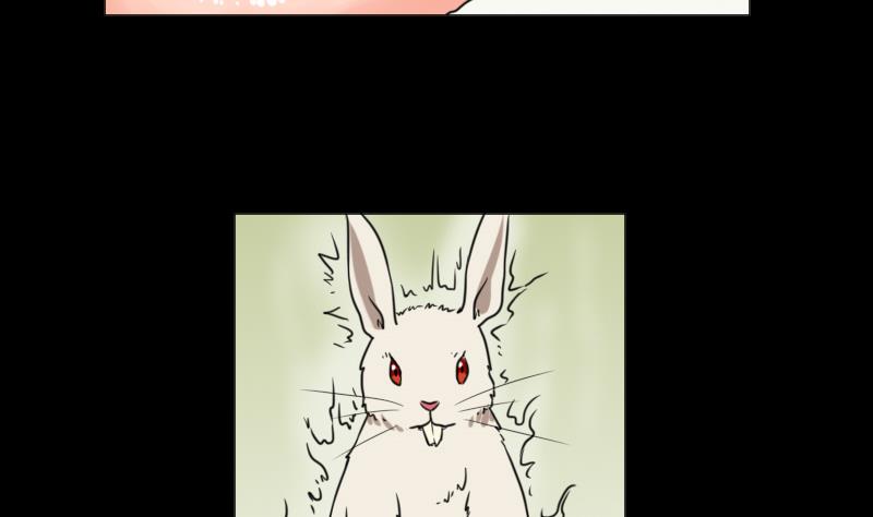 《麻衣神算子》第65话 肉灵芝 第35页