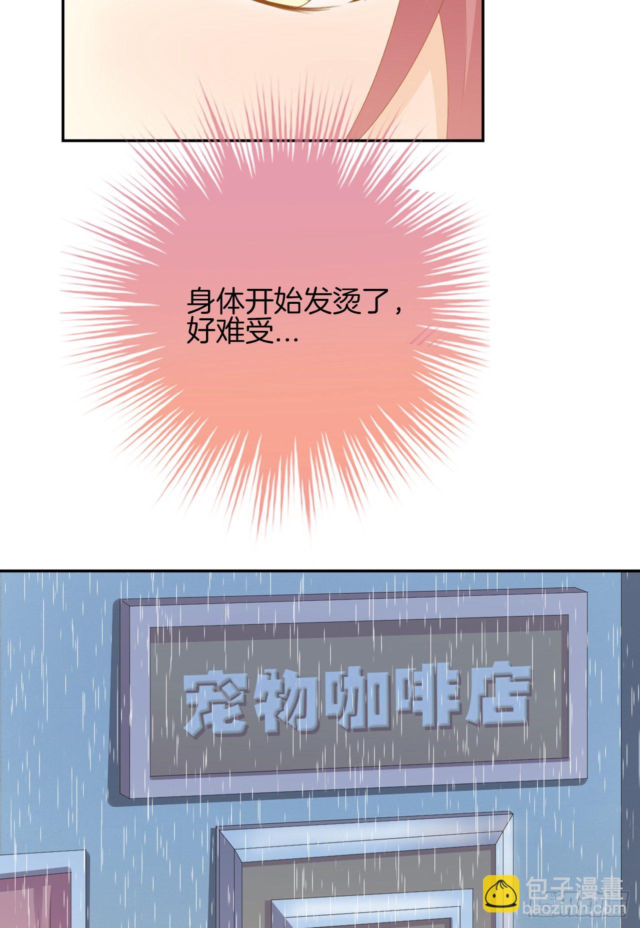 《猫系校草独宠爱》雨天的复仇 第35页