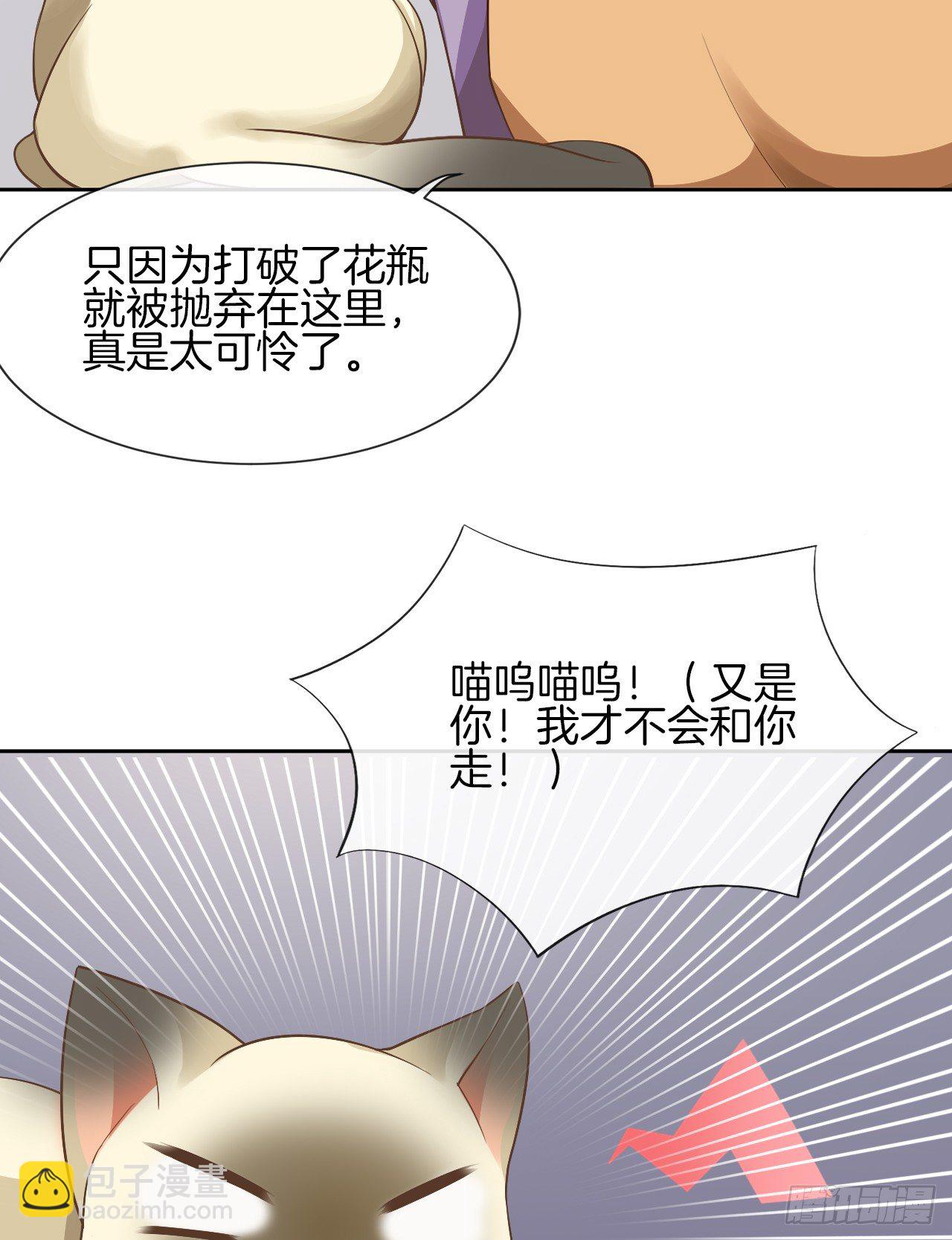 《猫系校草独宠爱》雨天的复仇 第6页