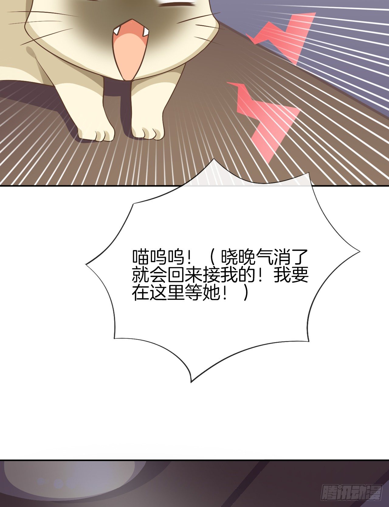 《猫系校草独宠爱》雨天的复仇 第7页
