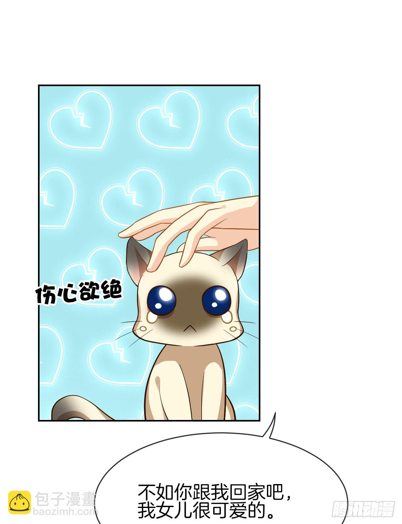 《猫系校草独宠爱》雨天的复仇 第9页