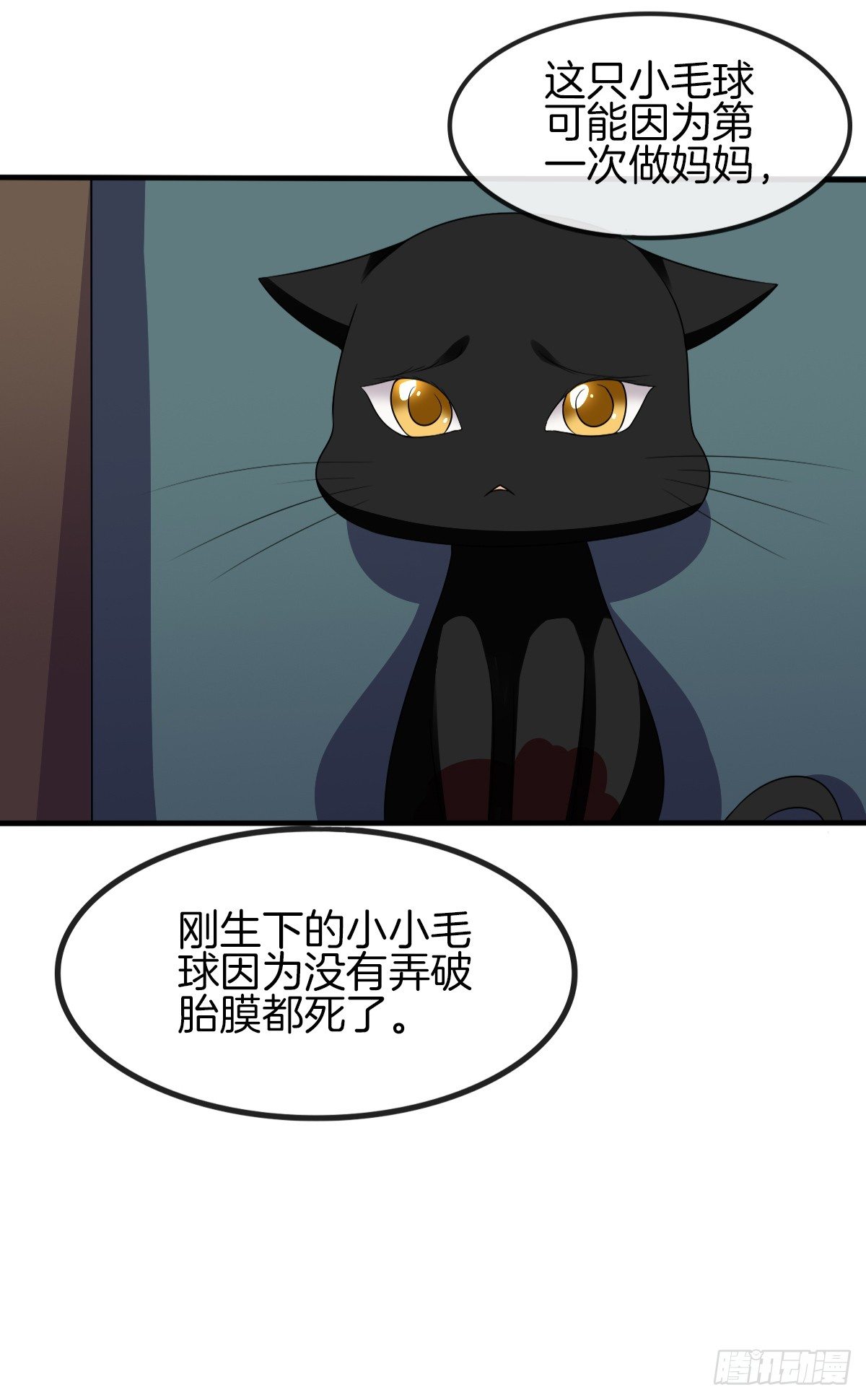 《猫系校草独宠爱》是你逼我的 第20页