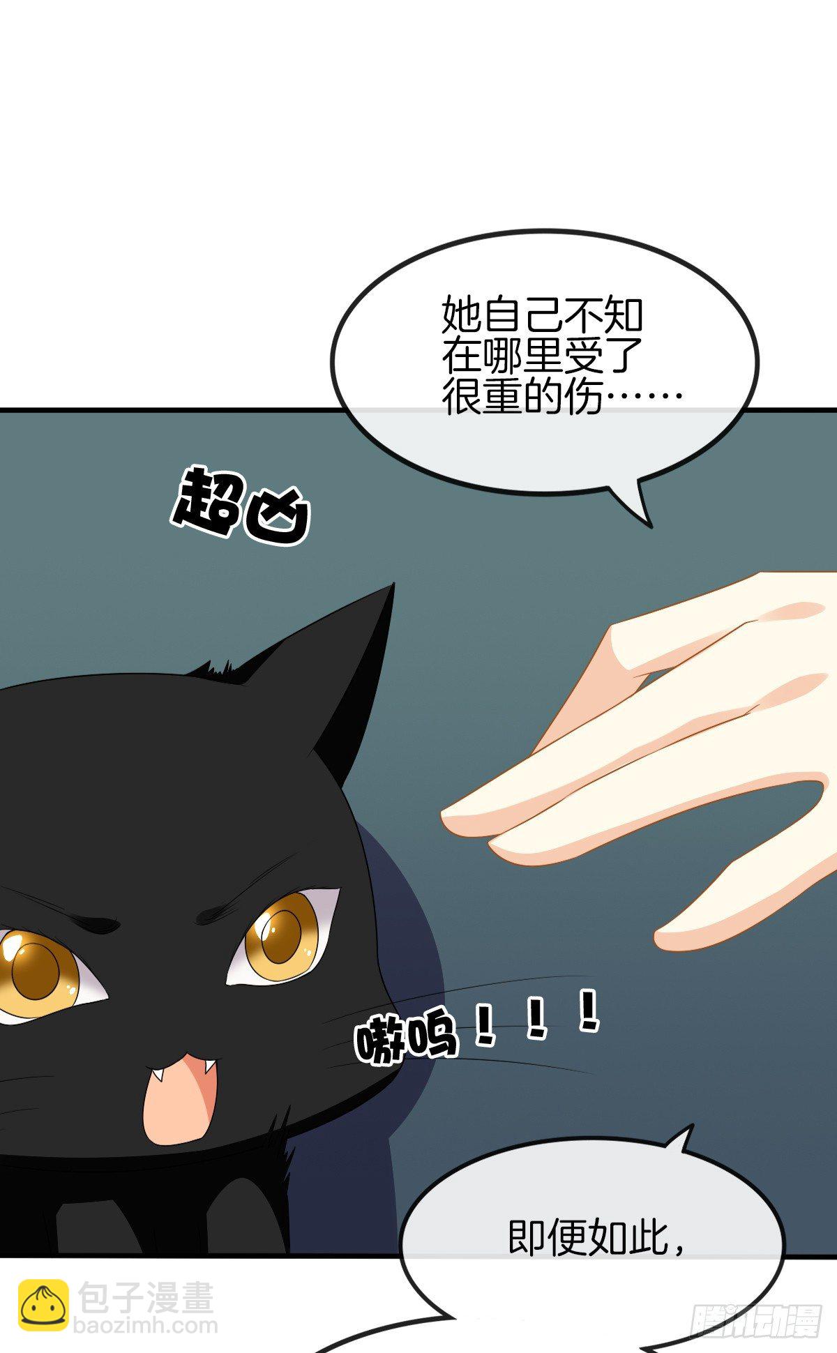 《猫系校草独宠爱》是你逼我的 第21页