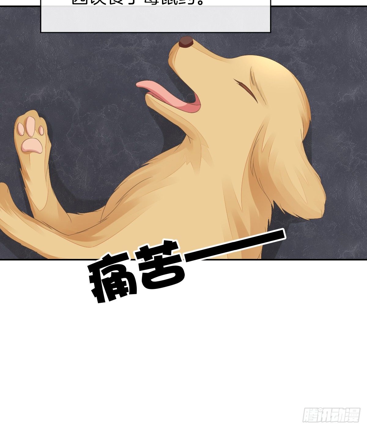 《猫系校草独宠爱》灵魂互换的真相 第38页