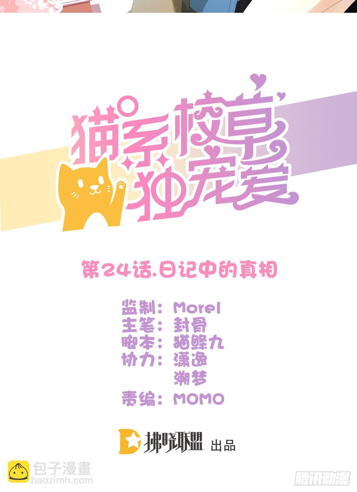 《猫系校草独宠爱》日记中的真相 第2页
