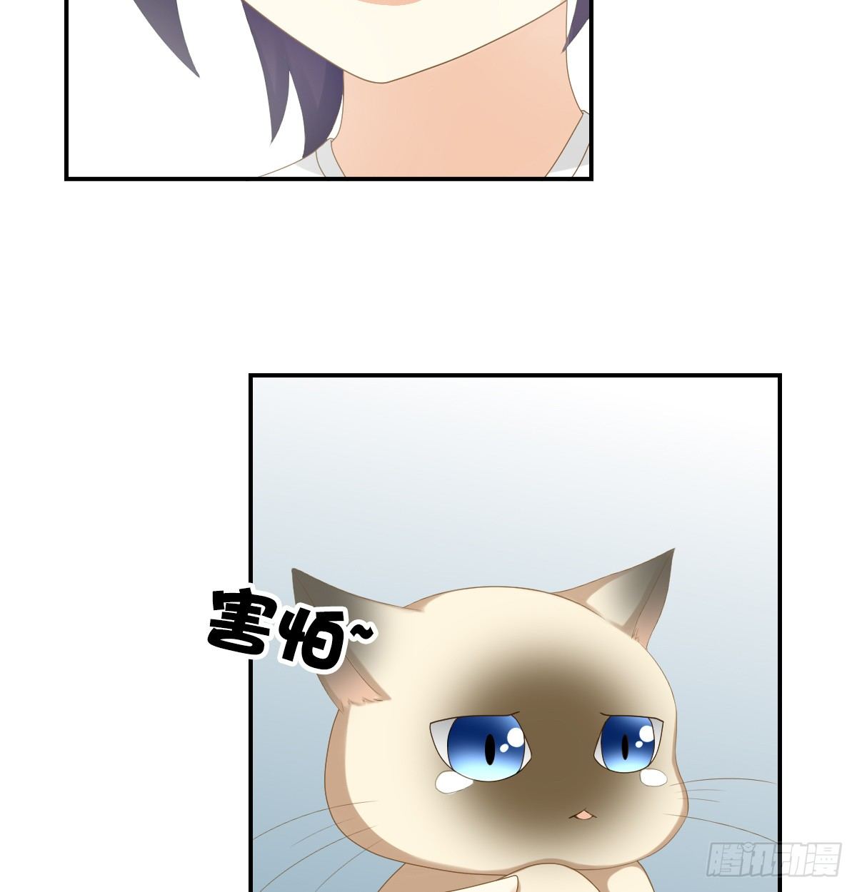 《猫系校草独宠爱》他们还没分手 第27页