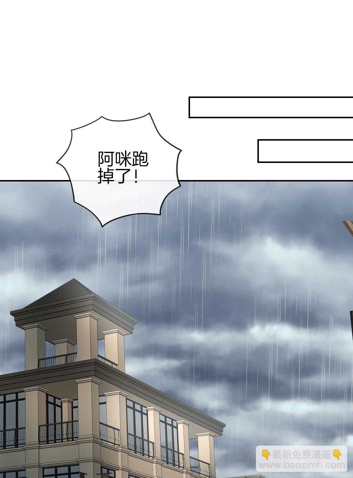 《猫系校草独宠爱》空空如也的猫咪公墓 第13页