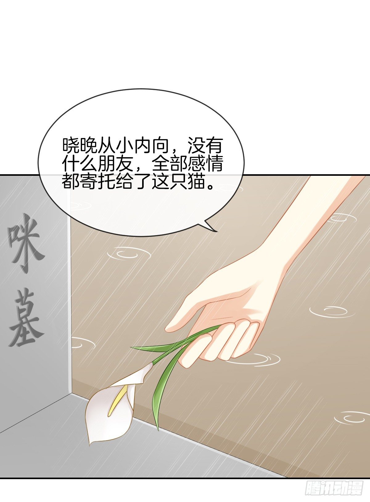 《猫系校草独宠爱》空空如也的猫咪公墓 第26页