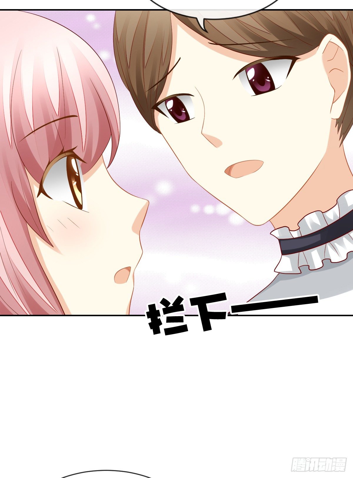 《猫系校草独宠爱》空空如也的猫咪公墓 第9页