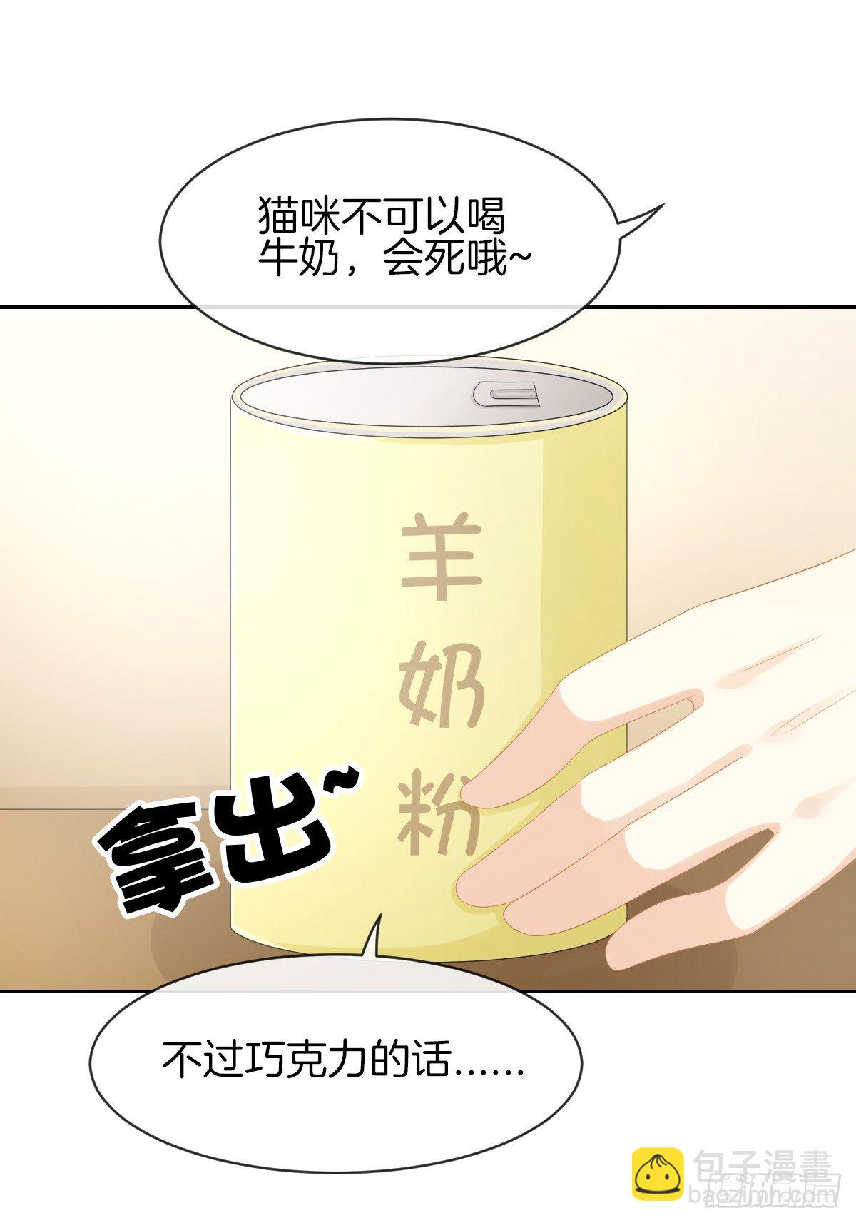 《猫系校草独宠爱》身份被识破？！ 第10页