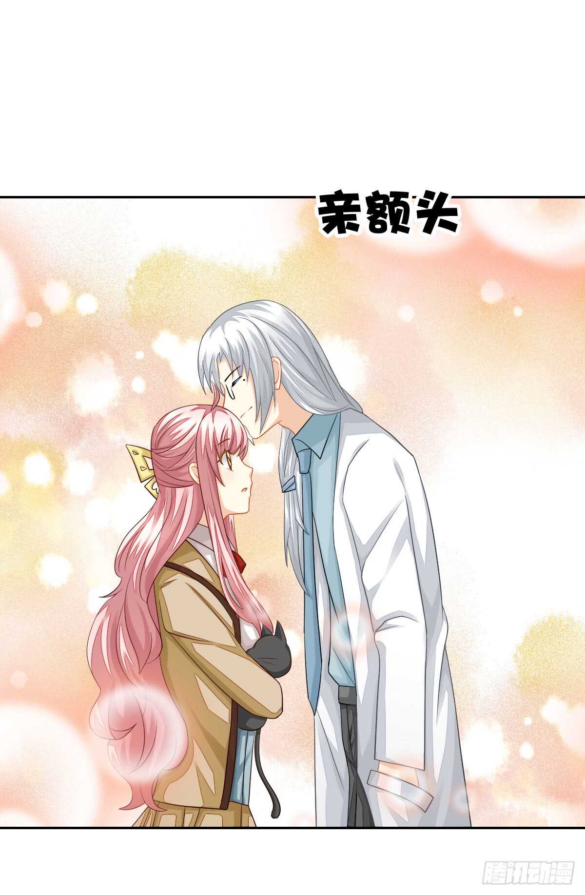 《猫系校草独宠爱》从此你我无关 第13页