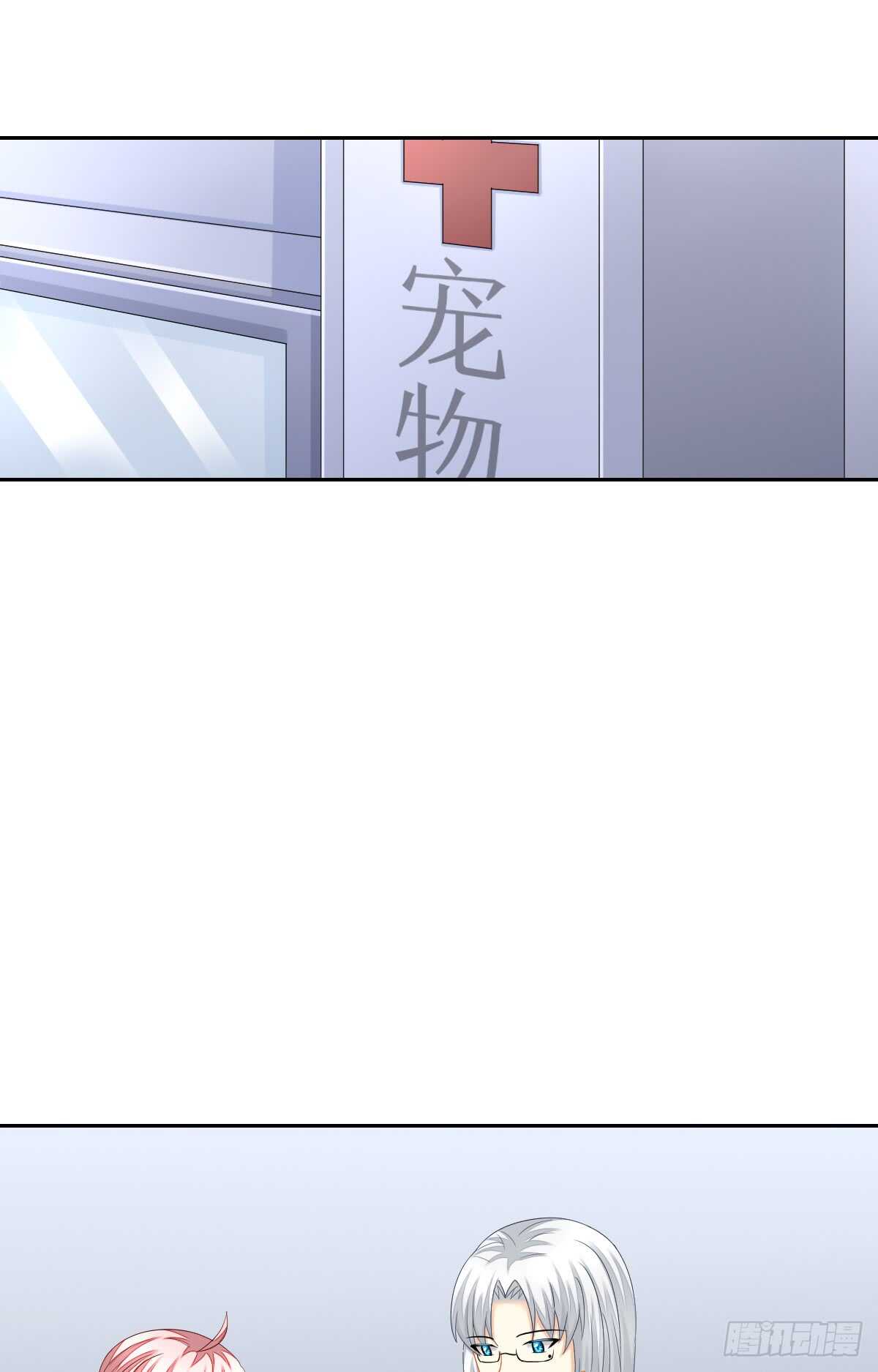 《猫系校草独宠爱》从此你我无关 第3页