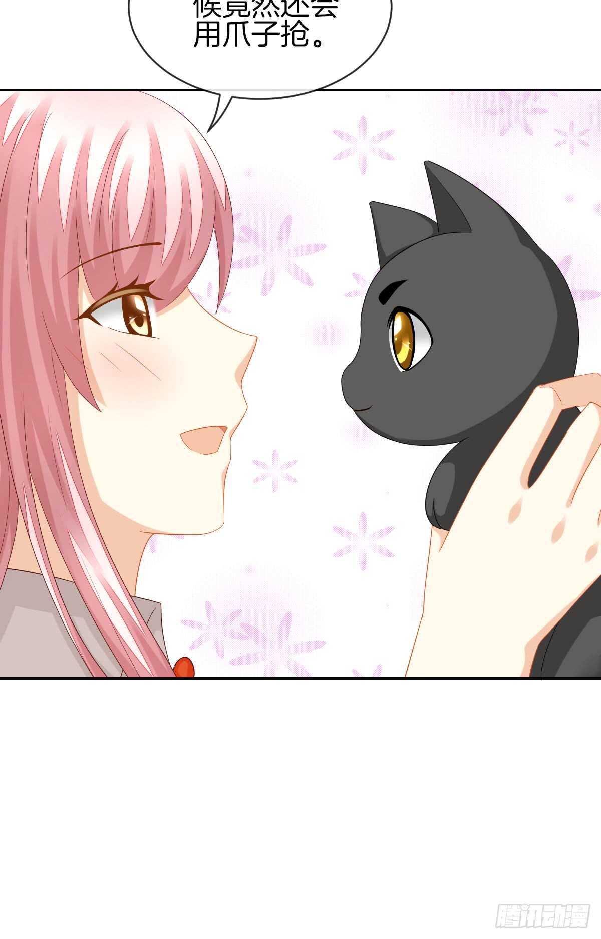 《猫系校草独宠爱》从此你我无关 第5页