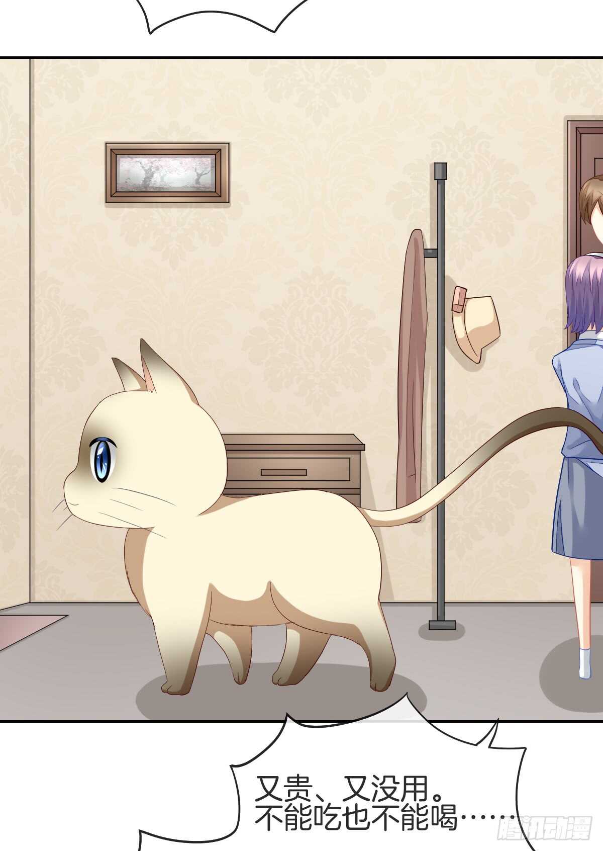 《猫系校草独宠爱》情投意合 第29页