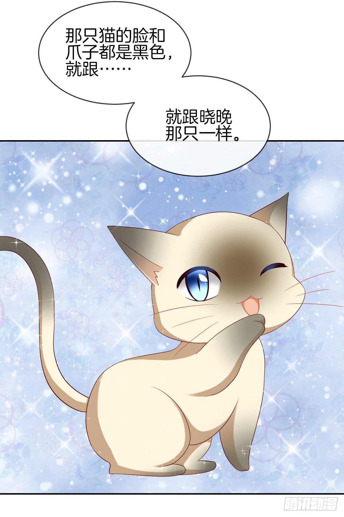 《猫系校草独宠爱》过往与真相 第33页