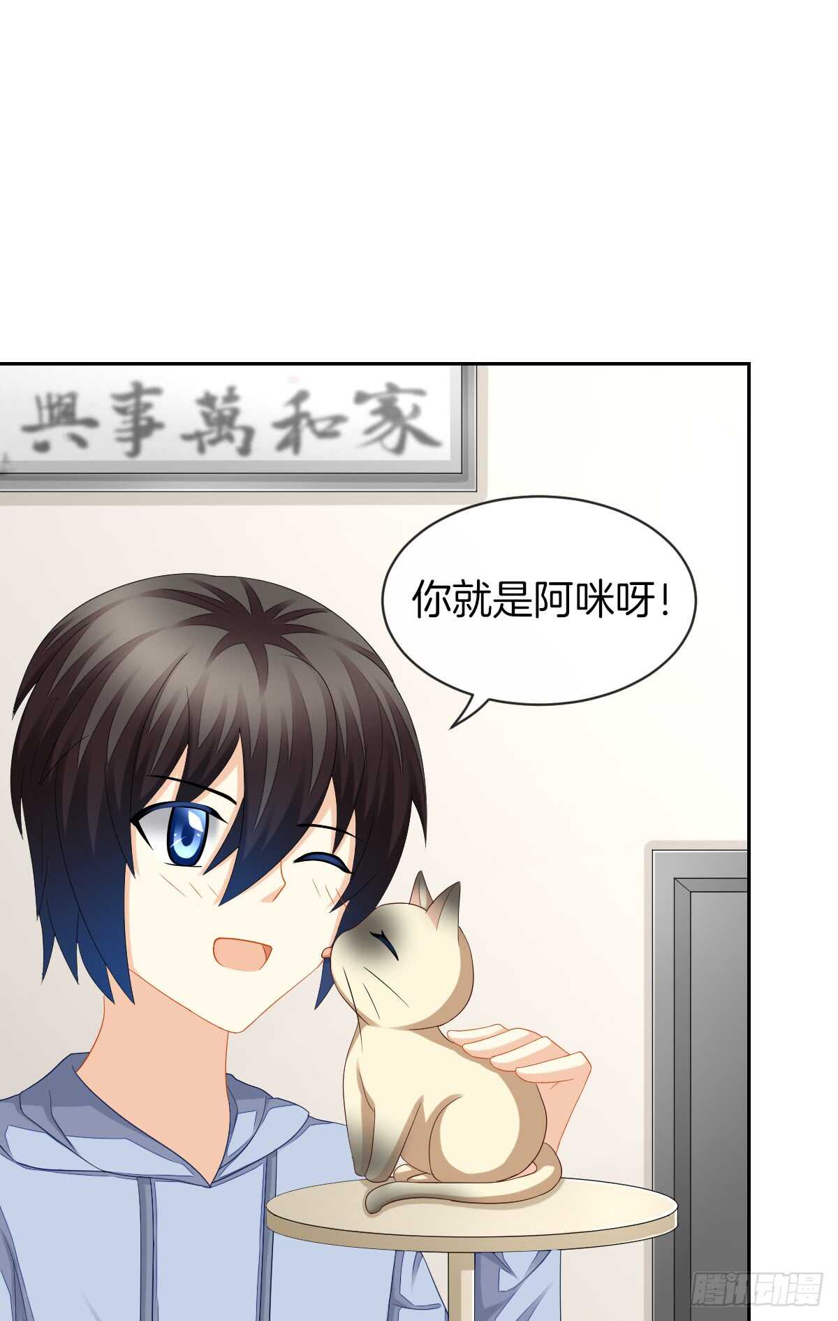 《猫系校草独宠爱》你的小仓鼠回来了 第37页