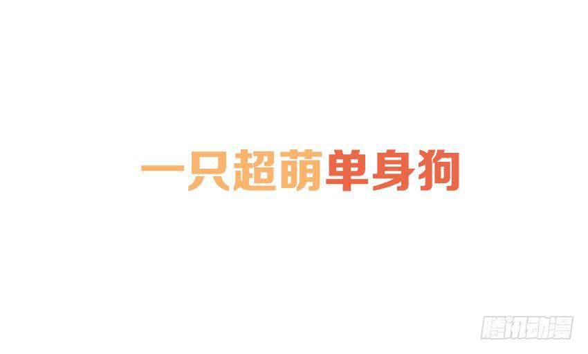 《单身少女单身狗》预告 第11页