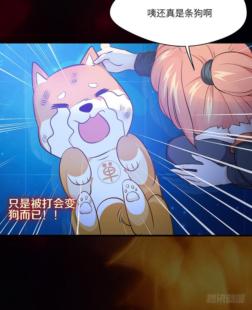 《单身少女单身狗》欢迎来到单身狗的世界 第15页