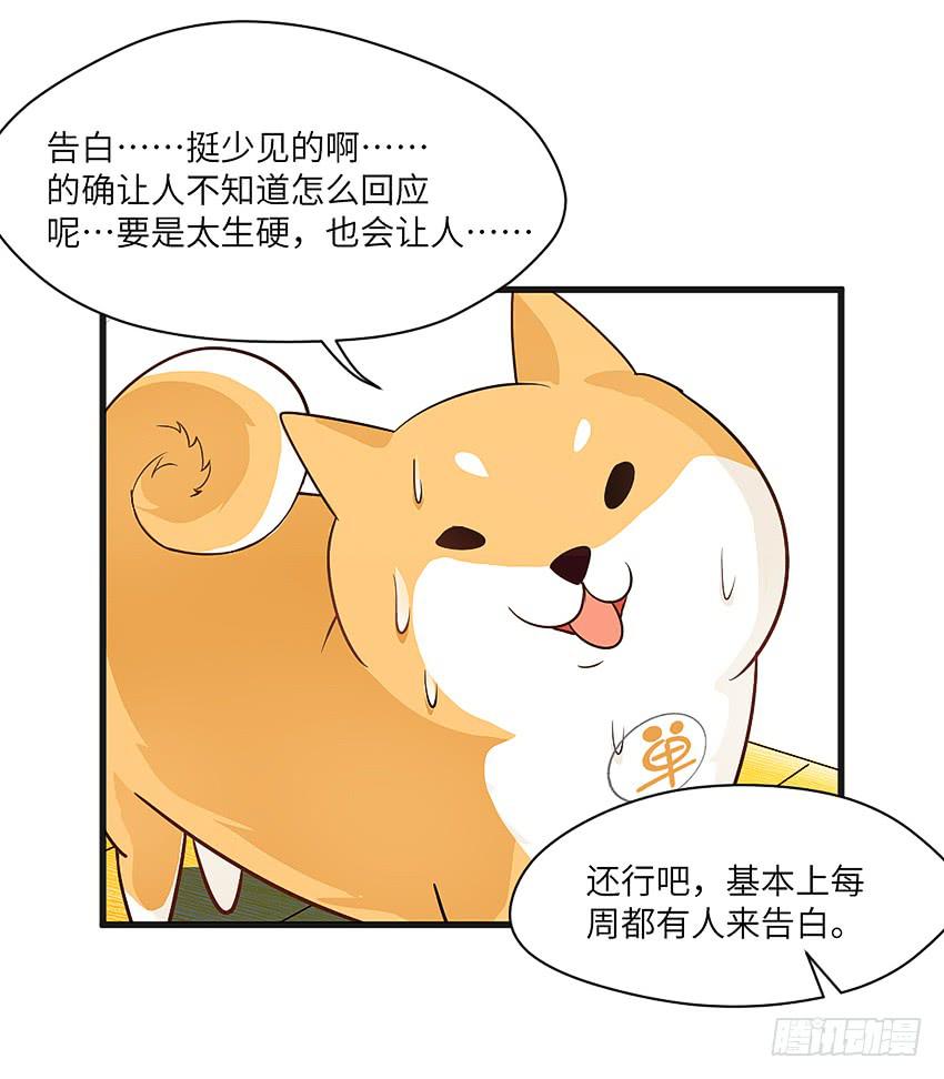 《单身少女单身狗》凭实力单身 第41页