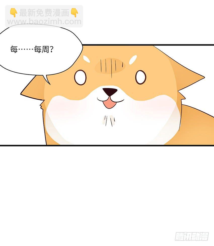 《单身少女单身狗》凭实力单身 第42页