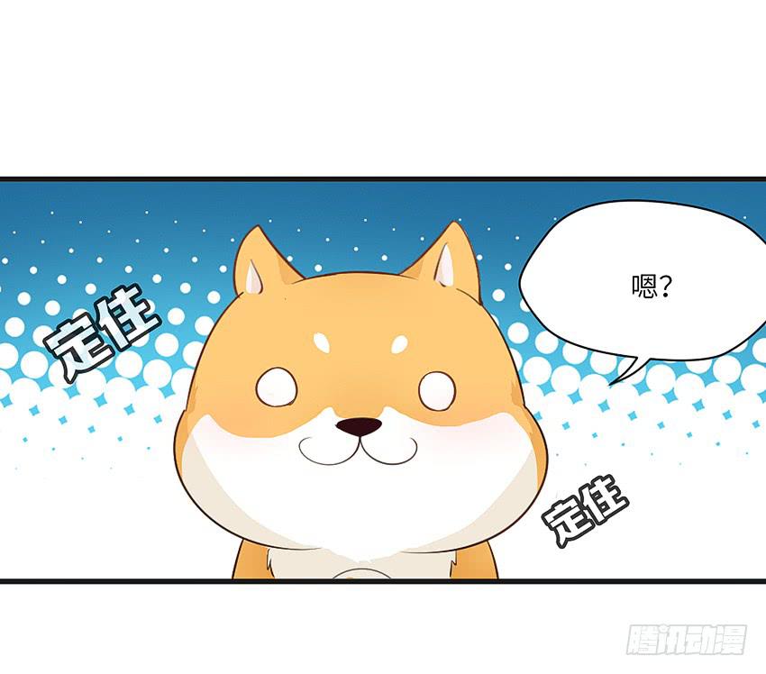 《单身少女单身狗》卖萌拯救世界 第37页