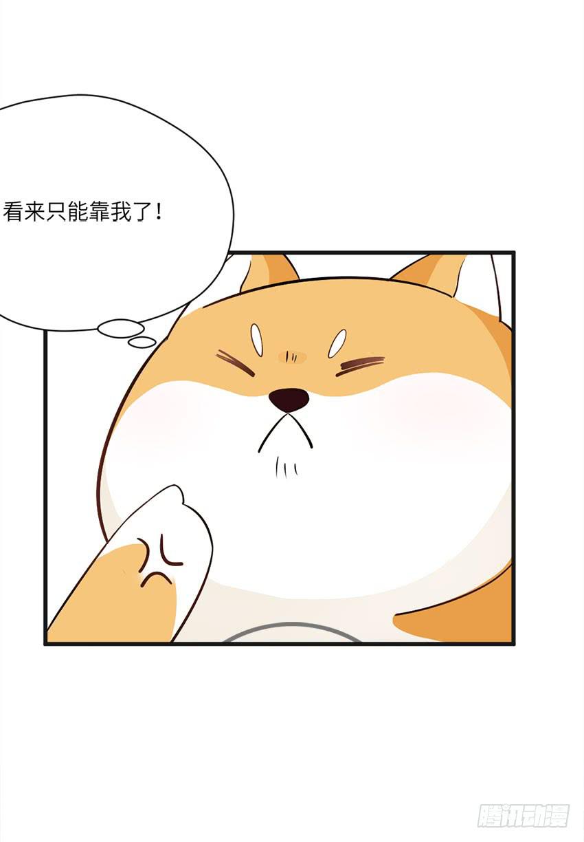 《单身少女单身狗》完全...说不出话来 第17页