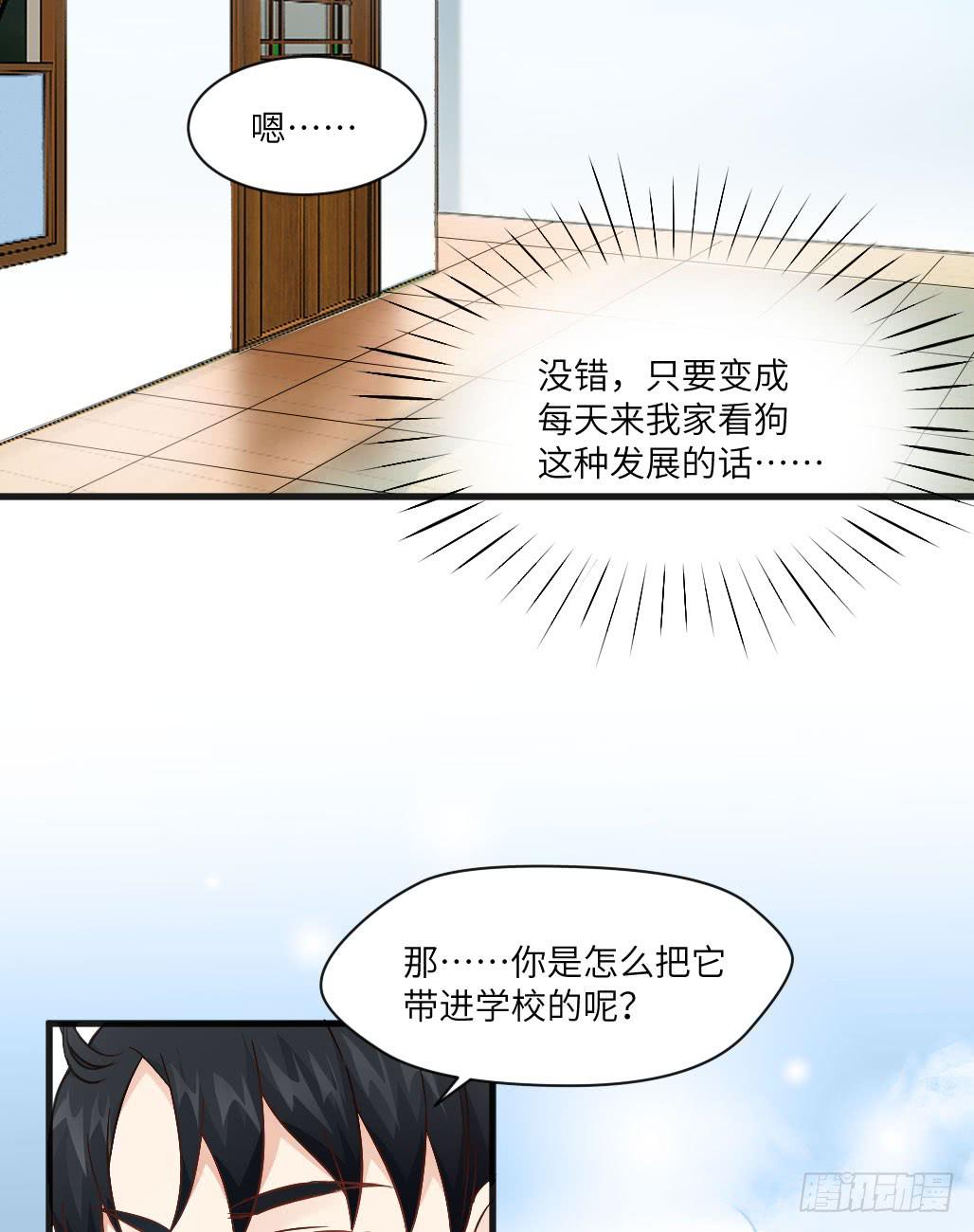《单身少女单身狗》他居然不认识我？ 第13页