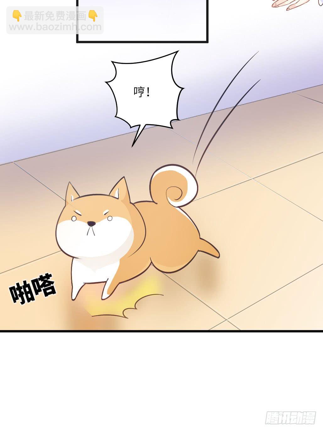 《单身少女单身狗》他居然不认识我？ 第31页