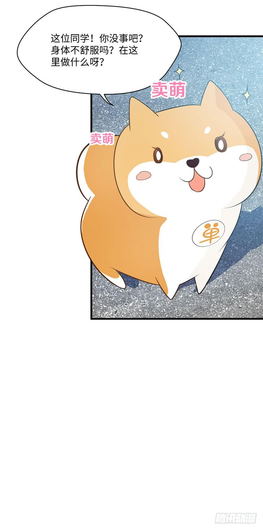 《单身少女单身狗》花坛边的小正太 第17页