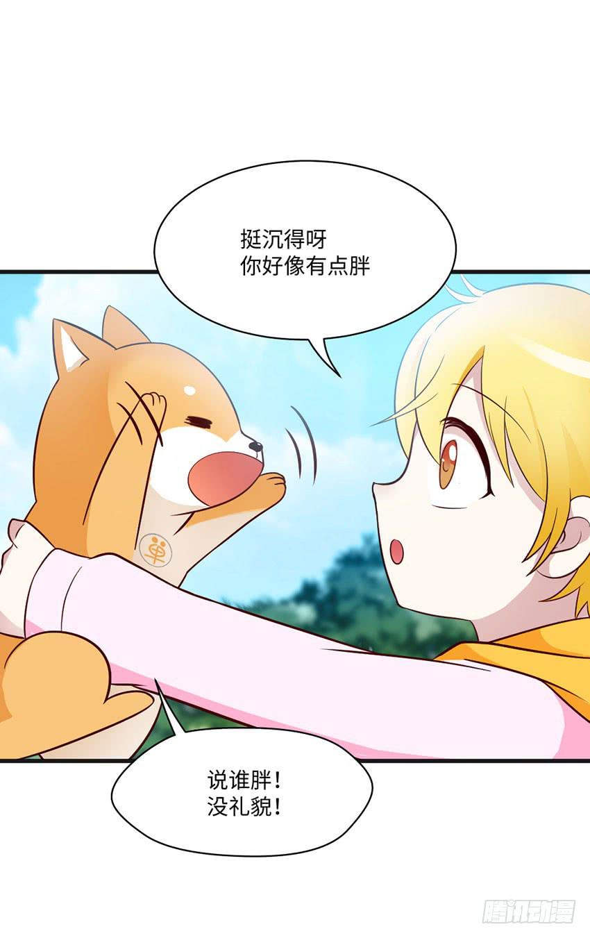 《单身少女单身狗》花坛边的小正太 第20页