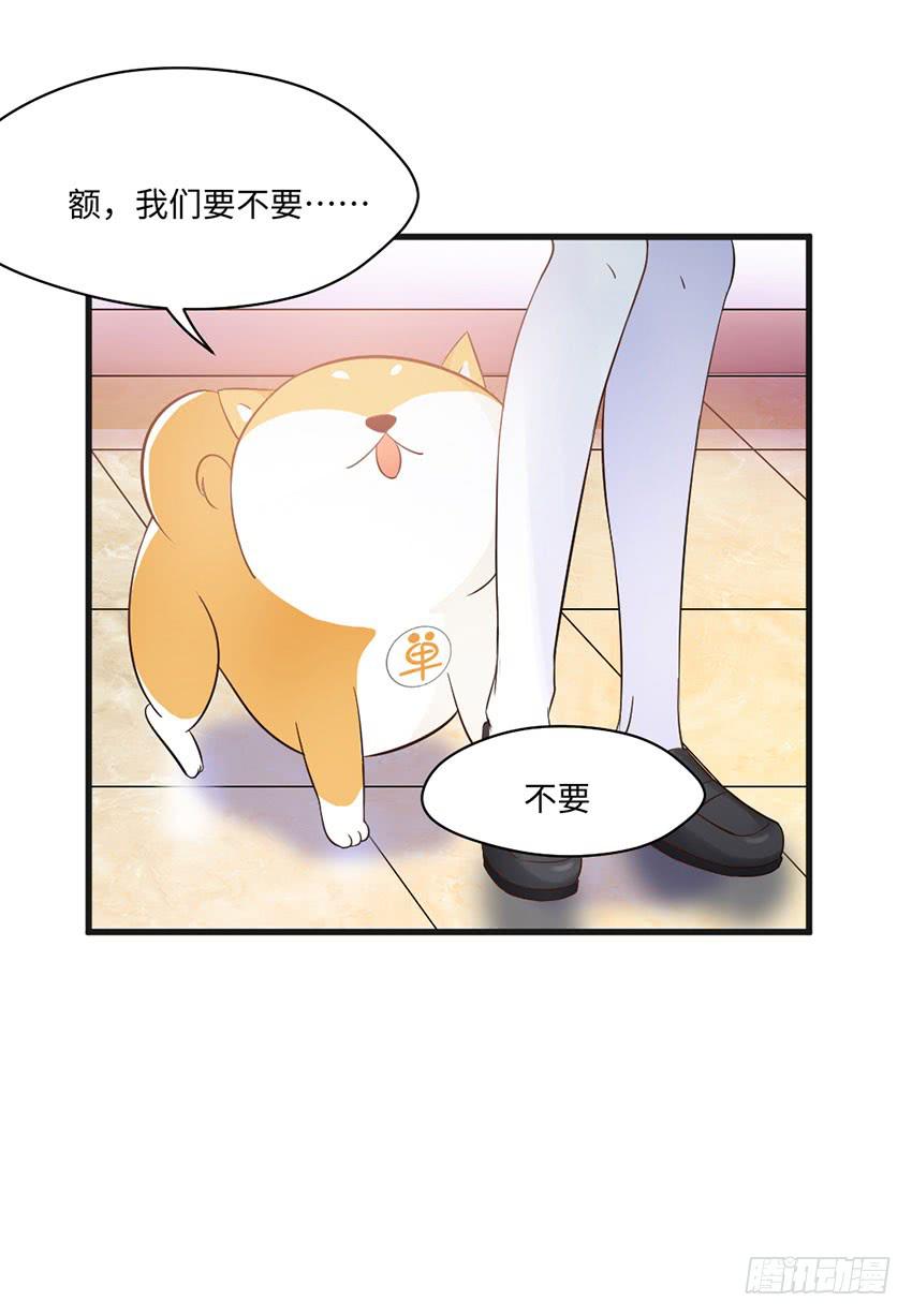 《单身少女单身狗》花坛边的小正太 第32页