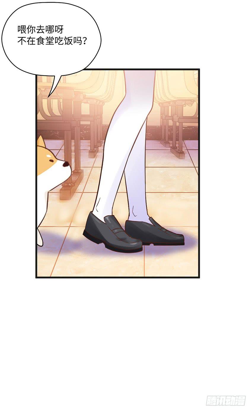 《单身少女单身狗》花坛边的小正太 第34页